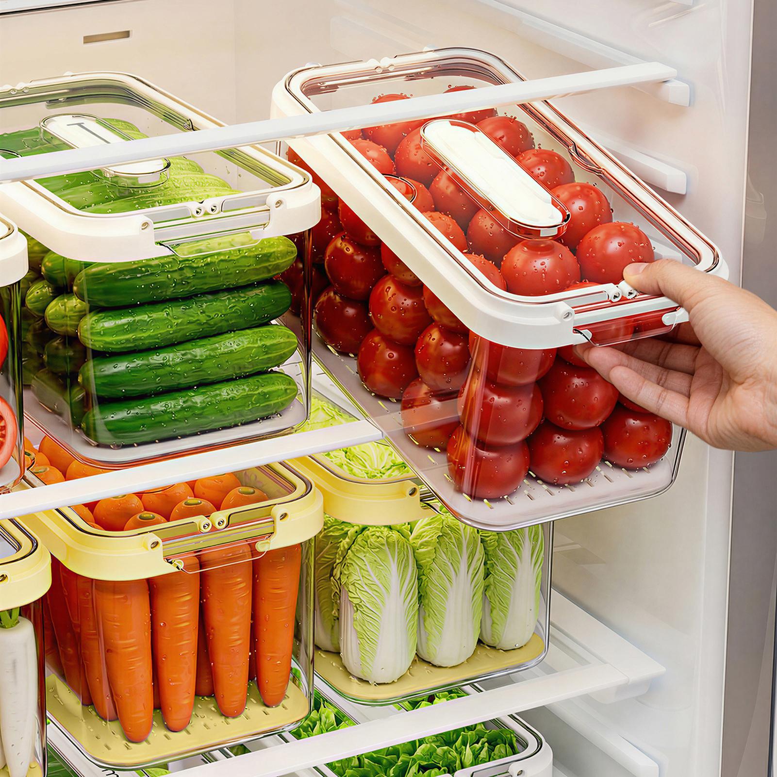 Contenedores organizadores de  - Food Storage Large Plastic Containers reseña y precio