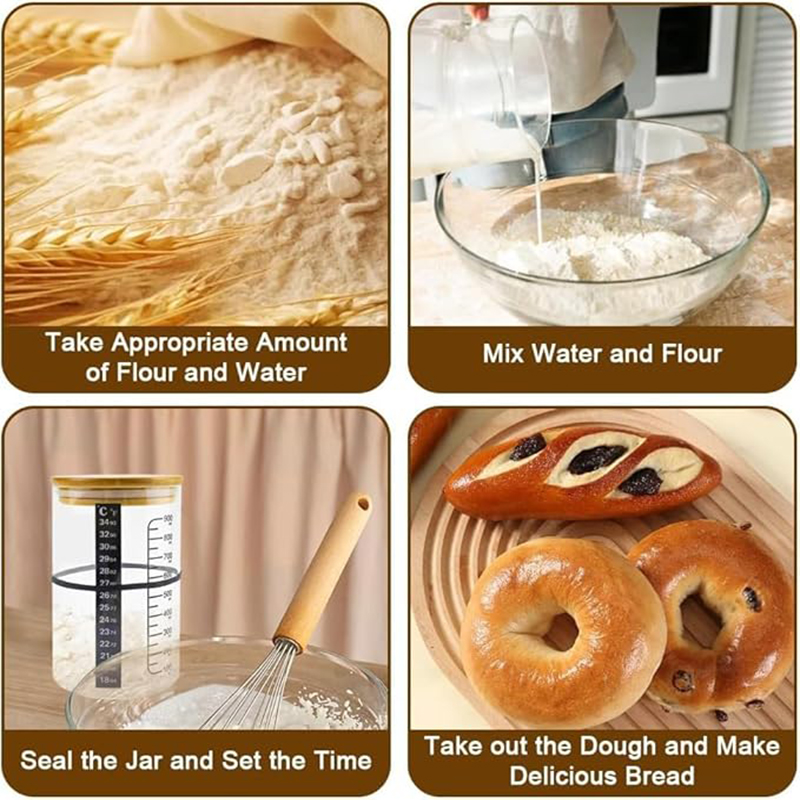 Kit de tarro de inicio de masa - Food Storage Glass Box reseña y precio