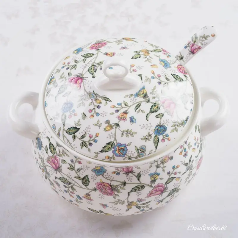 Turbina de porcelana de hueso  - Food Storage Plant reseña y precio